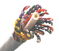 CAT5e 25 Pair Cable with Spine to Reduce Crosstalk CAT5e 25 Pair Cable with Spine to Reduce Crosstalk