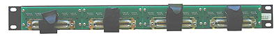 CAT5e 24 Port Patch Panel - Rear