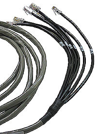 QWIK Cable - 25 Pair with 6 Legs Wired 568B