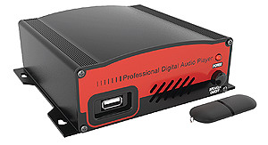 Digital Message On Hold Model 40