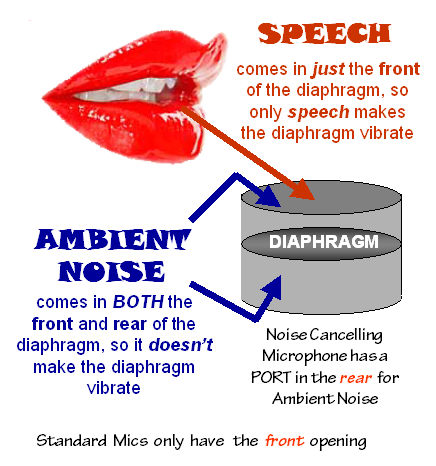 background noise cancelling microphone