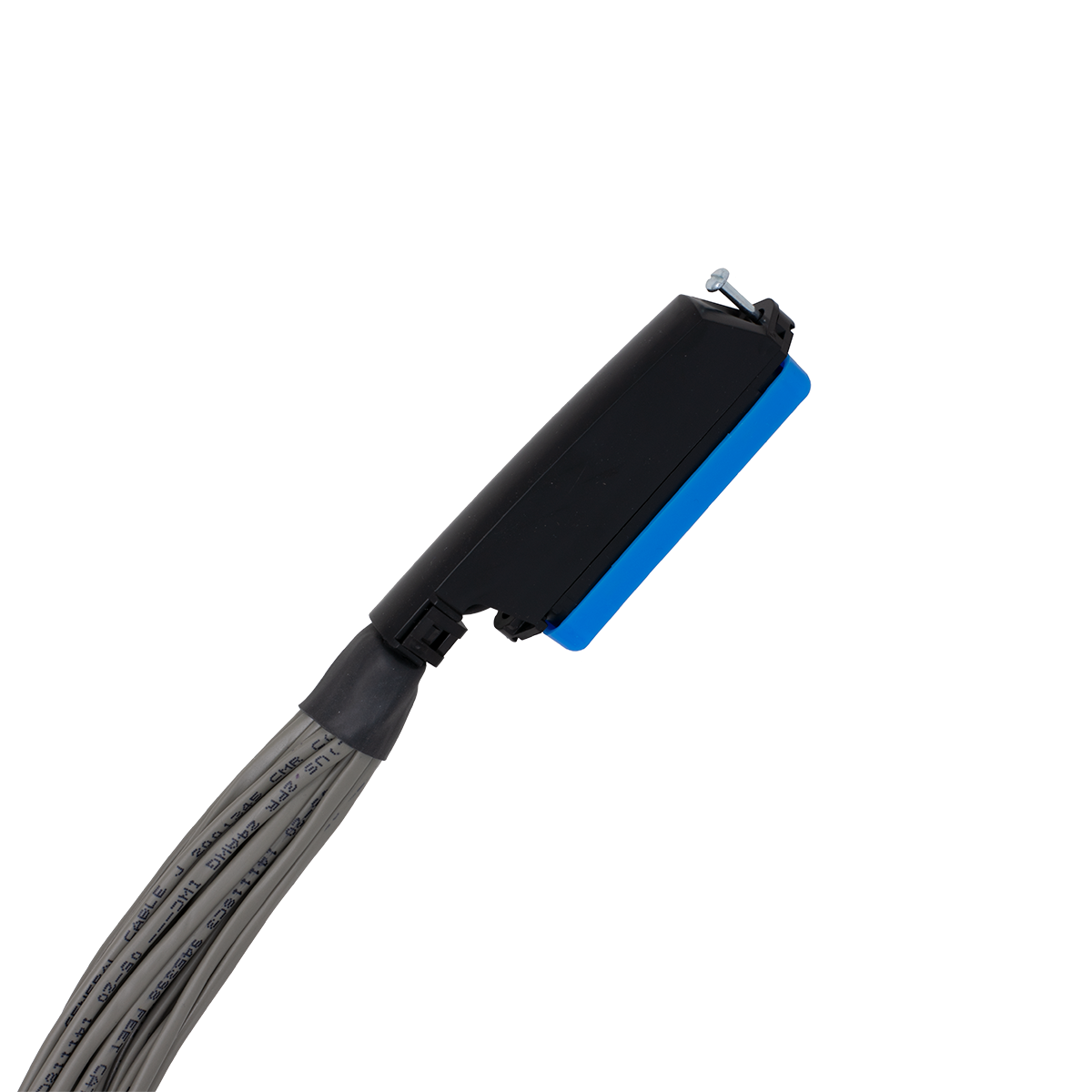 QWIK 6' 25x2 Octopus Cable with Male Amp (Amp View) QWIK 6' 25x2 Octopus Cable with Male Amp (Amp View)