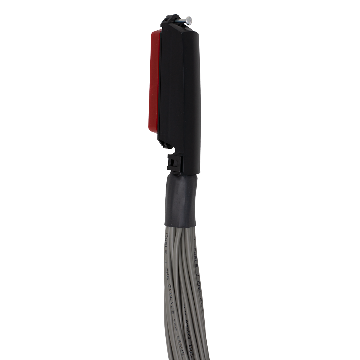 QWIK 6' 25x2 Octopus Cable with Female Amp (Amp View) QWIK 6' 25x2 Octopus Cable with Female Amp (Amp View)
